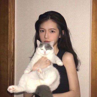 魔影之剑无限金币破解版下载